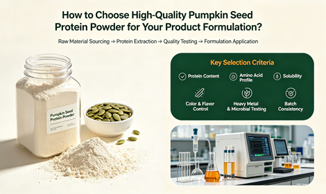 How to Choose High-Quality Pumpkin Seed Protein Powder for Your Product Formulation?